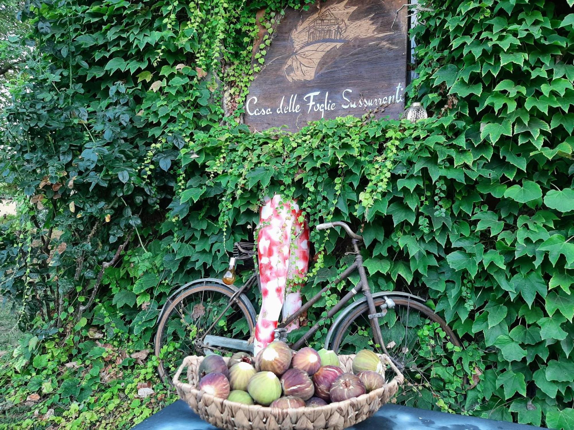 Casa Delle Foglie Sussurranti Villa Asti Dış mekan fotoğraf